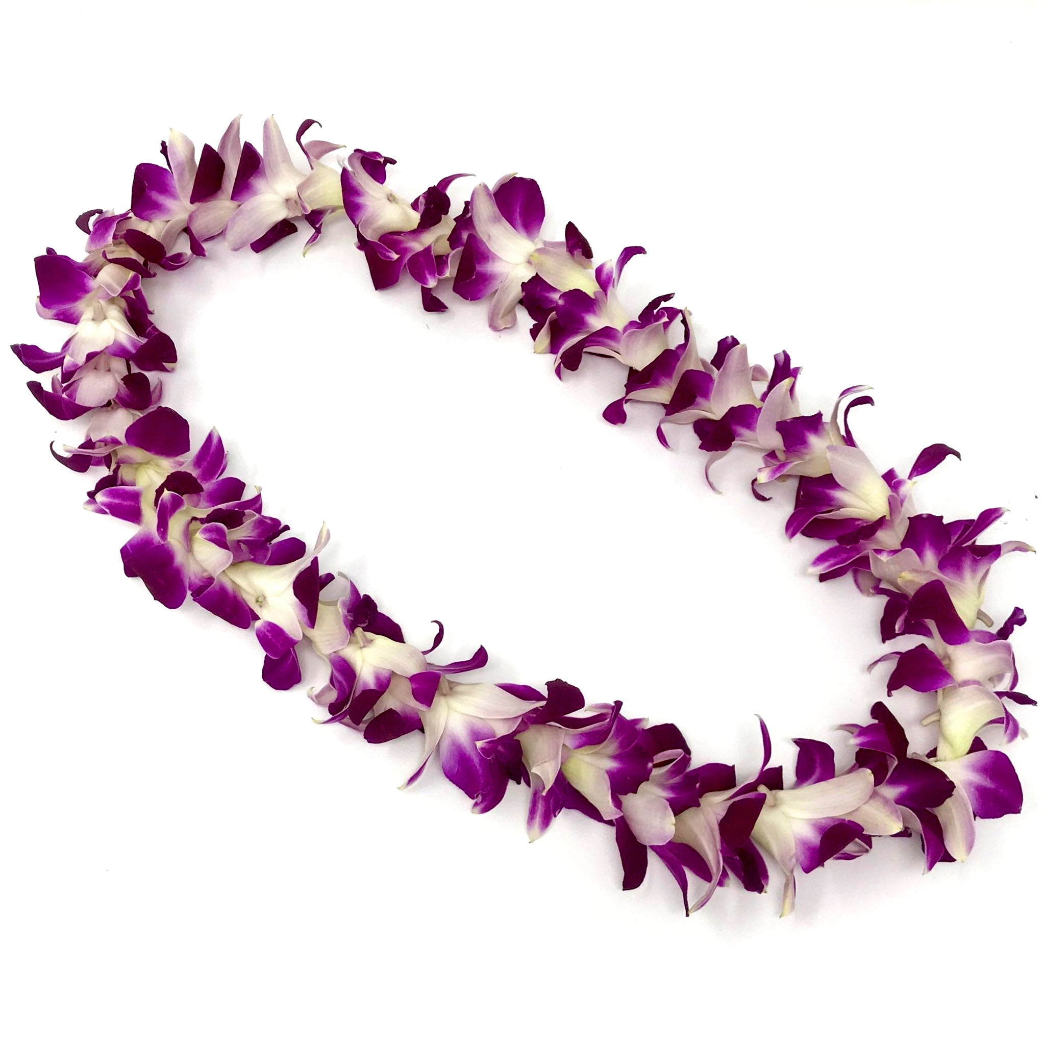 Pre-Made Single Orchid Purple Lei - Poni Honi - Leilanis Leis