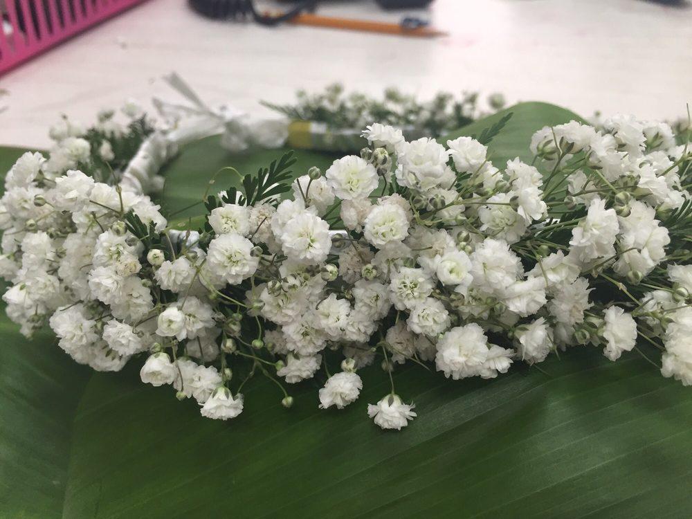 Babys Breath Haku - Leilanis Leis