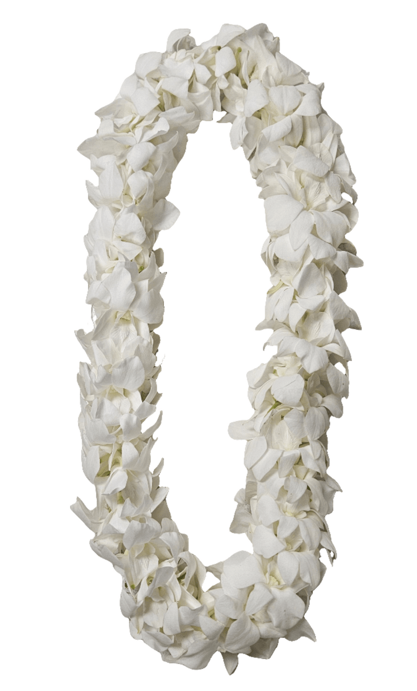 Double Orchid Lei - 1 Color - Pre - Made - Leilanis Leis