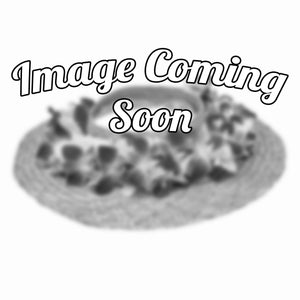 Graduation Cap Lei Po'o - Orchid Only - Haku - Leilanis Leis