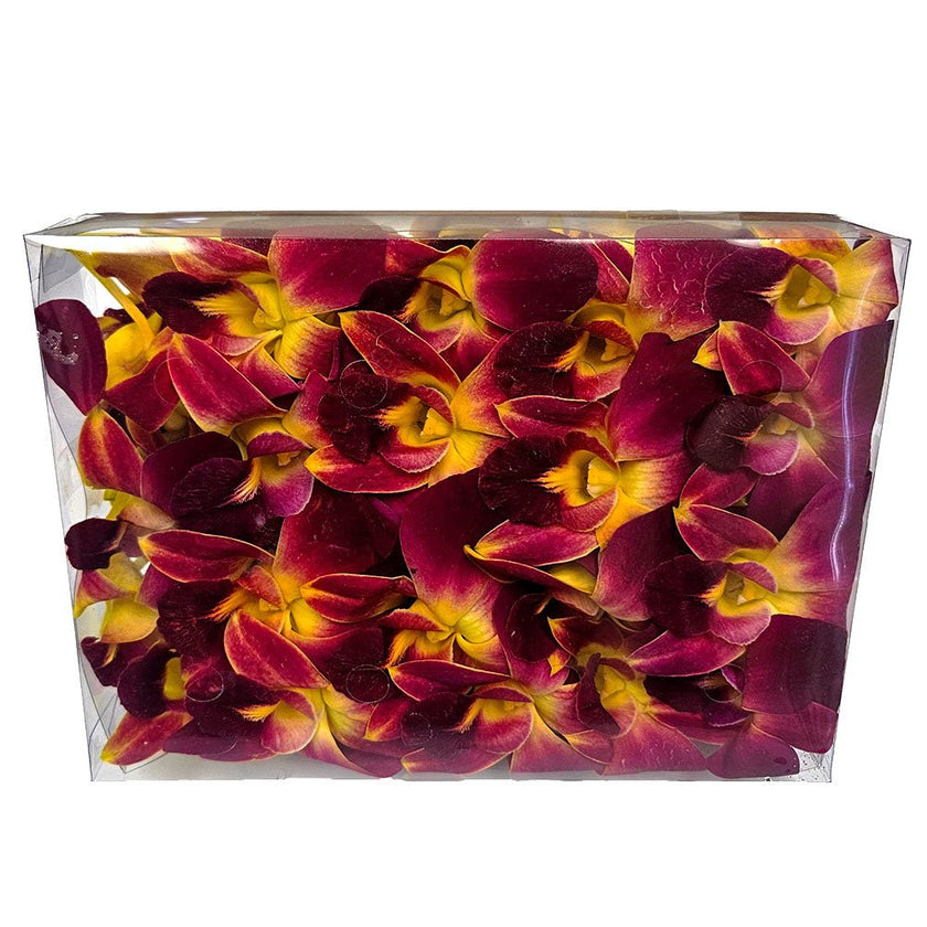 Loose Orchid Blooms - Box of 50 - Loose Blooms - Leilanis Leis