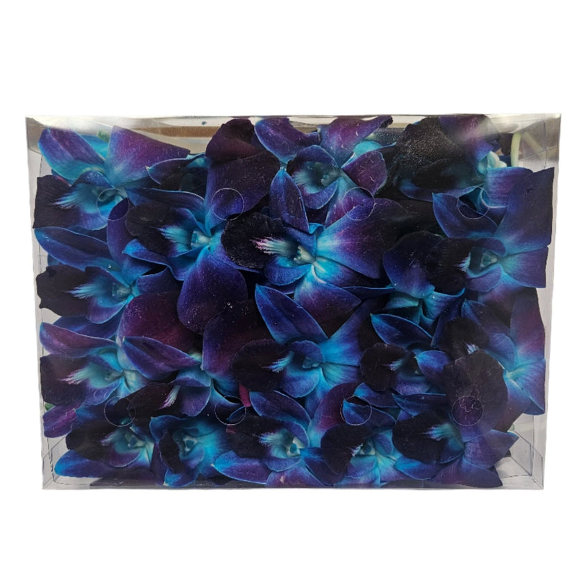 Loose Orchid Blooms - Box of 50 - Loose Blooms - Leilanis Leis