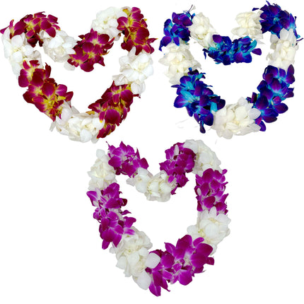 Mixed Color Double Orchid Lei 3-Pack - Package Deal - Leilanis Leis