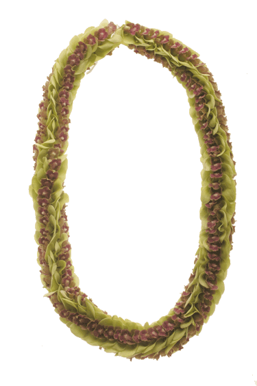 Pikky Orchid Lei - Hawaii Exotic - Leilanis Leis