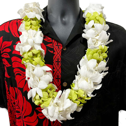 Pre-Made Double Orchid Lei - Green/White - Pre-Made - Leilanis Leis