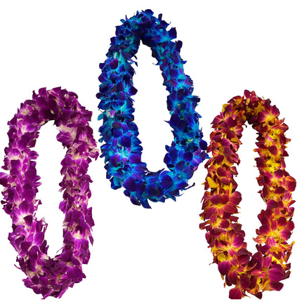 Solid Color Double Orchid Lei 3-Pack - Package Deal - Leilanis Leis