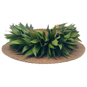 Ti Leaf Haku