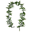 Ti Leafy Lei, Open Ended 60