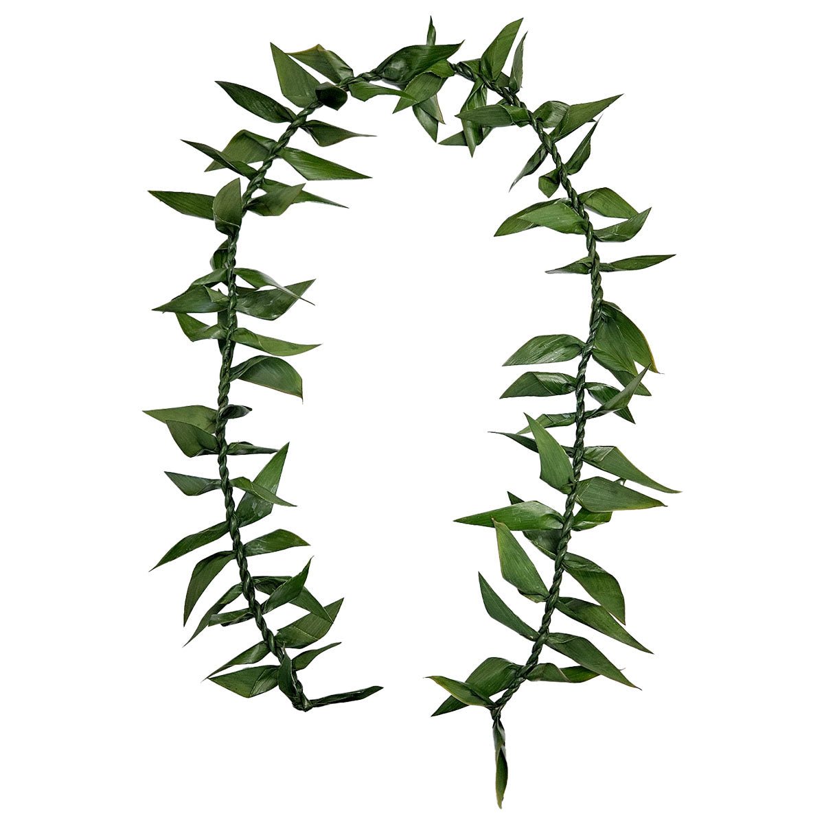 Ti Leafy Lei, Open Ended 60