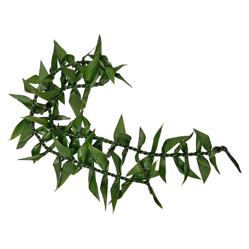 Ti Leafy Lei, Open Ended 60