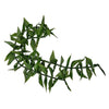 Ti Leafy Lei, Open Ended 60