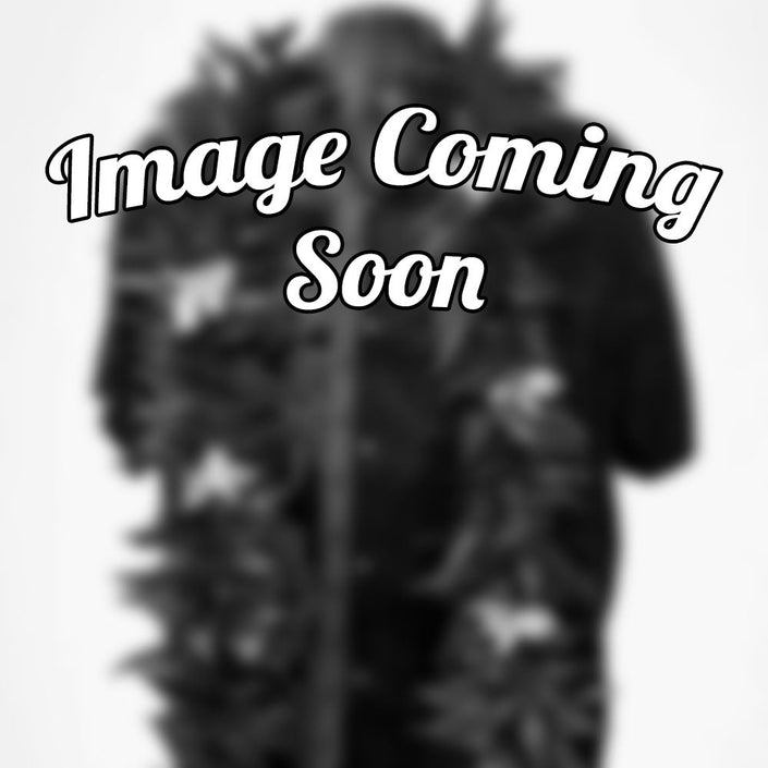 Ti Leafy Lei with Orchids, Open Ended 60