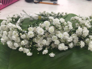 Babys Breath Haku - Haku - Leilanis Leis