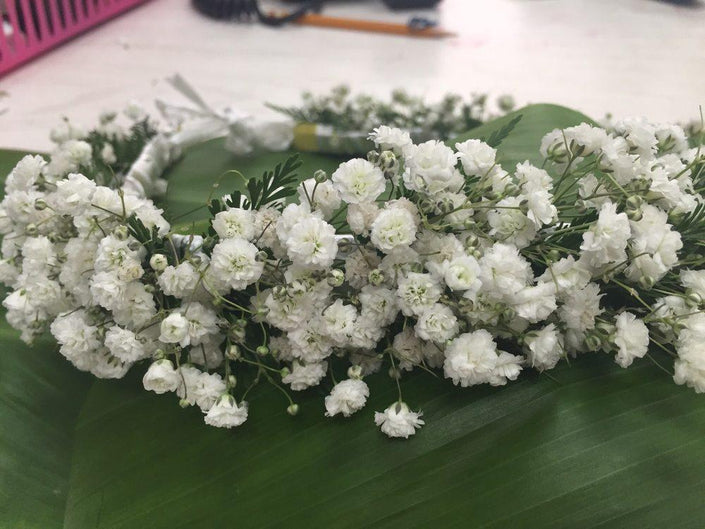 Babys Breath Haku - Haku - Leilanis Leis