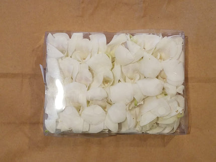 Loose Orchid Blooms - Box of 50 - Loose Blooms - Leilanis Leis
