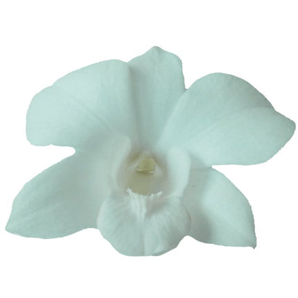 Loose Orchid Blooms - Loose Blooms - Leilanis Leis