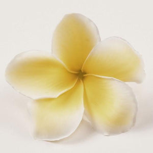 Loose Plumeria Blooms - Loose Blooms - Leilanis Leis