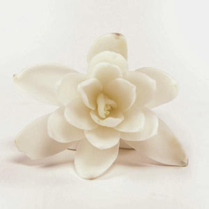 Loose Tuberose Blooms - Loose Blooms - Leilanis Leis