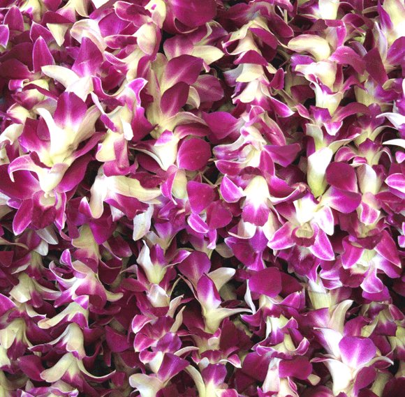 Pre-Made Single Orchid Purple Lei - Poni Honi - Pre-Made - Leilanis Leis