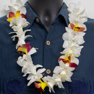 Single Orchid Trace Orchid Lei (Made to Order) - Single Lei - Leilanis Leis