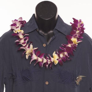 Single Orchid Trace Plumeria Lei - Single Lei - Leilanis Leis