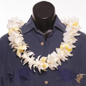 Single Orchid Trace Plumeria Lei - Single Lei - Leilanis Leis