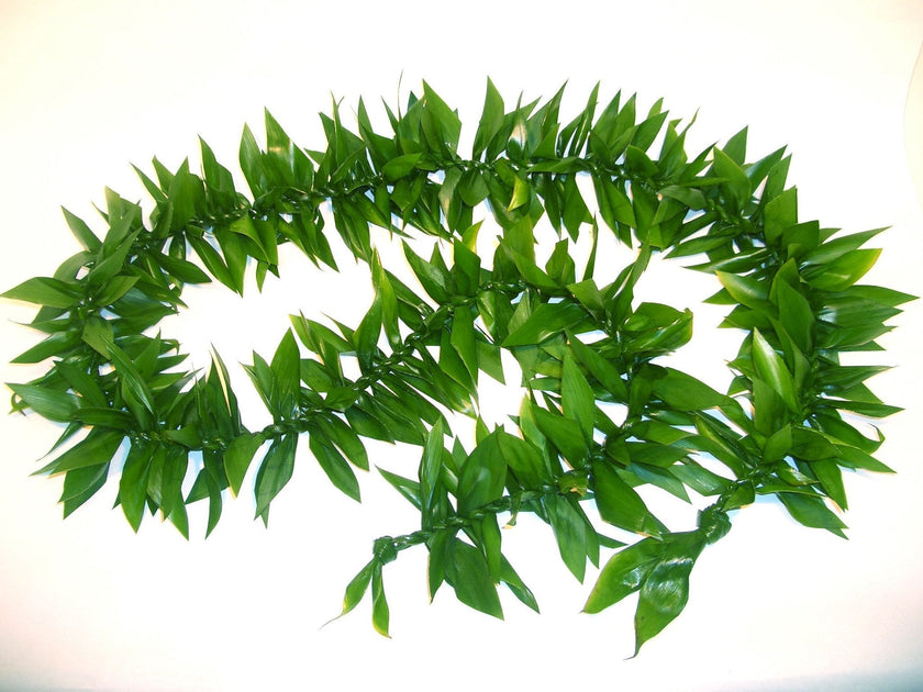 Ti Maile Lei - Ti Leaf Lei - Leilanis Leis
